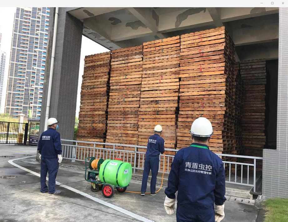 中海物流-除蟲滅鼠防治案例